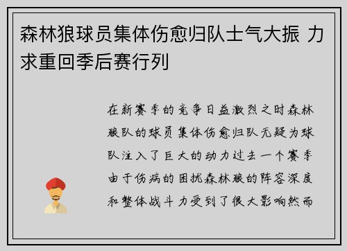 森林狼球员集体伤愈归队士气大振 力求重回季后赛行列